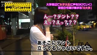 जपानी बस ऍम्युअर्स