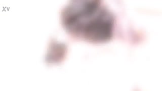 Jureka Del Mar lan Monika Wild Nangani 5 Kontol Monster Gangbang Liar