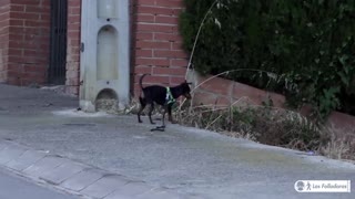 நான் மிகவும் நர்வஸ், ஆனால் செய்வோம்! முதல் முறை ஸ்பானிஷ் பேபி பர்ப்பிள் முடியுடன் வனமாகிறது