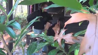 या हॉट अमॅच्युरला भेटलो आणि वाइल्ड हार्डकोर अॅक्शनमध्ये ओढला गेलो