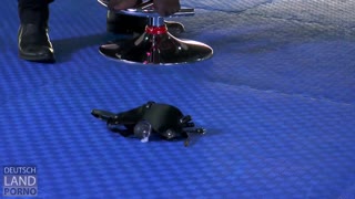 Κοίτα τους Conny και Scarlett να ωθούν τα όρια του φετίχ