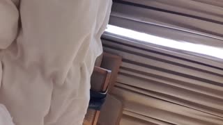 델리 커플이 스릴 넘치는 삼인조 비밀을 탐험하다