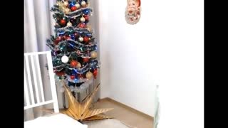 Amatérská blondýna MILF dráždí na horké kameře