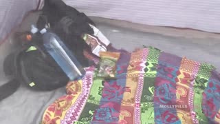 LOST camper meets STRANGER on hike - molly pills lead to hardcore FUCK and accidental CREAMPIE outdoors!!