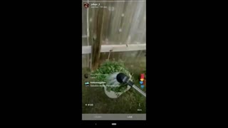 Latina influencer Jolla surprised live outdoors with cum on face