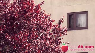 रस्त्यावर वाइल्ड जर्मन MILF उचलण्याचा आणखी एक दिवस, लाना वेगास अनोळखीला जोरात राइड करायला जाणते