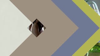 big tits big ass hot tight pussy lesbians cumming together for the precum challenge to gather that precum and win