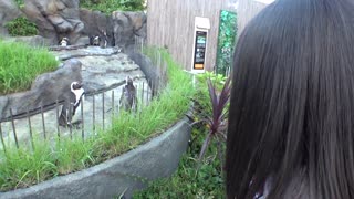 Angalia Toleo Kamili!