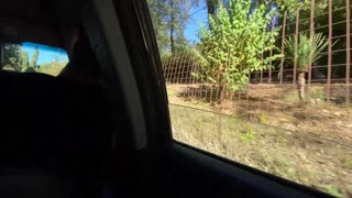 Bagean 1: Njupuk Bocah Wadon menyang Segara kanggo Dolanan Nakal..