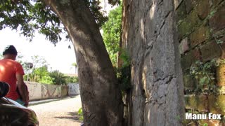 Незнакомец Трахает Латинскую Гостосу на Улице с Издевательским Кумшотом