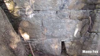 คนแปลกหน้าเย็ดสาวลาติน Gostosa บนถนนพร้อมเย้ยหยันน้ำเงี่ยน