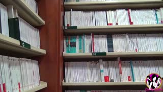 ഷൈ പ്രിറ്റി ഗേൾ റോസ് കാമറ മുന്നിൽ സോഡോമൈസ്ഡ് ചെയ്യുന്ന ഫാന്റസി ജീവിക്കുന്നു