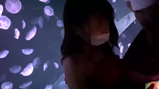 Vedenalaiset kohtaamiset - Upotetut seksi-videot vesimaisemissa