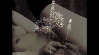 Nimevutiwa na Threesome ya Wasagaji wa Kike wa Kale kutoka Dark Lantern Entertainment