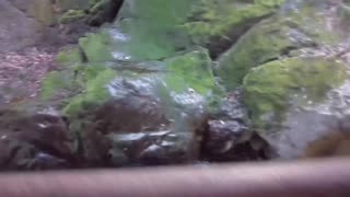 Japonska amaterka virtualni seks v Spring Break POV! Ona te naredi za ejakulacijo med ljubeznivim ročnim delom in sesanjem!