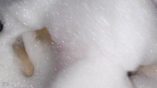 Hey, bu büyük memeler izlemeye değer değil mi?