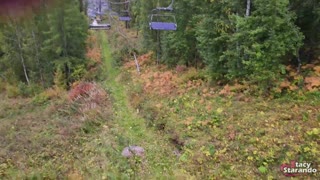 Promenerar med min vän i skogsparken. Personlig blogg, live-video. - POV