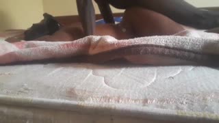 Casual Hookup Girl Takes BBC Thrusts Until Explosive Release