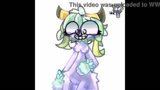 이 MSM 포르노 컴필레이션에는 무엇이 들어있나?