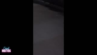 La orgía comenzó en la calle y terminó en mi sofá empapado de semen