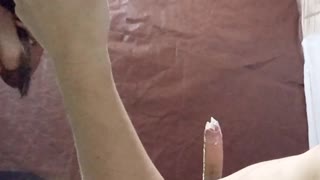 お尻の頬を私のチンポにきつく締め付けて！ 素晴らしい感じ、そのまま速くして激しくイカせて