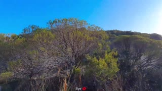 ஹே, இந்த லத்தீனப் பெண் காக் சப்புவதை நிறுத்த முடியவில்லை முகம் மீது!