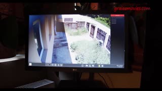 Omg, ten nevinný vetřelec dostal tak divoký trest!