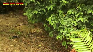 Želim si ta divji threesome s polnimi afriškimi lepoticami