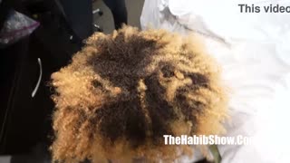 Texas freaks! Hvor vill kan Livs rumpe sprette på Trents BBC?