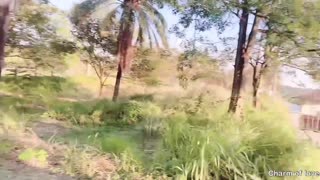 Hé, akarod dugni a hegyen velem ma?