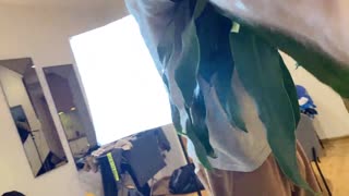 two slutty girlfriends aggressively share massive fat cock deepthroat and face fuck