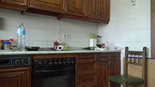 காட்டு ஜெர்மன் பெண் கட்டுப்பாட்டை எடுக்கும் காட்சி? அவள் ஒவ்வொரு அங்குலத்தையும் தீவிரமாக வேலை செய்கிறாள்