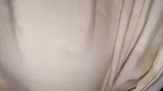 Wow, istri landlord bikin gemetar dengan tubuh berlekuk! 😍