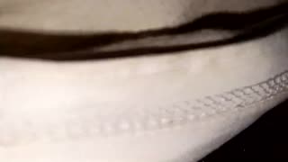 Vay be, ev sahibi karısı kıvrımlı vücuduyla beni salladı!