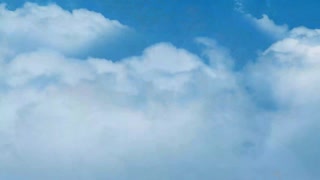 angel youngs nicole doshi crave bbc deepthroat threesome