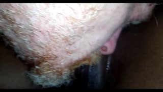 hey, catch me live at kat's playhouse getting pounded interracial style