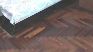 هی، این مادر داغ رو ببین که روی تخت در حالی که پوسیش رو انگشت می‌زنه آب می‌پاشه!