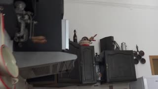 Four Sexy Girls Gather For A Fake Photoshoot, Trying On Lingerie To Flash Pussies And Asses