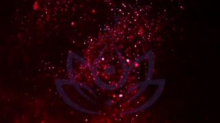 ஹெலினா பிரைஸ் - நான் எக்ஸிபிஷனிஸ்ட் மனைவி ஸ்டெஃபானி மாஃப்ராவை கரிபியன் நியூட் பீச்சில் இன்டர்ரேஷல் மோமென்ட் பிலிம் செய்தேன், வாய்யர்கள் பார்க்கையில்!