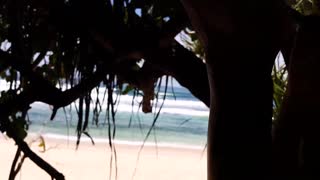 Ngono ya karibu sana ufukweni - Bang usiosahaulika na msichana mkamilifu