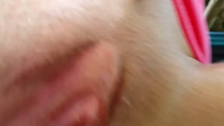 Intimate CLOSE UP SEX on the BEACH - Unforgettable BANG with a Flawless Girl