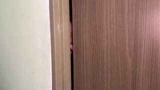 আমি আমার নতুন ট্যান্টালি বাস্টি সেক্স ডল ব্যবহার করছি, হট রুমমেট আমার লিঙ্গের স্বাদ নিতে চায়