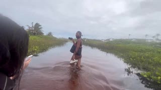 วิดีโอผมอยากเซ็กส์ป่าเถื่อนกับเพื่อนในบาเยียสวอมป์