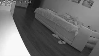 Procureni snimak nevjerne žene uhvaćene s bliskim prijateljem