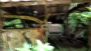 Nglakoni jinis ing tengah dalan alas?