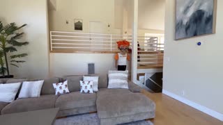 Hey, did you see my wild day refereeing a porn audition? High kicks and deep dicks with Nikki Nicole!