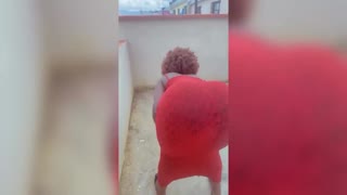 โย่ ใช้ชีวิตสุดยอดกับการขี่โฮมเมดร้อนแรงนี้