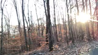 کلیت لیکر۶۶۲ آپدیت شماره ۲۱—تصویر ۱۲۵۷—احساس وحشی فلشینگ عمومی نوامبر ۲۶، ۲۰۲۴