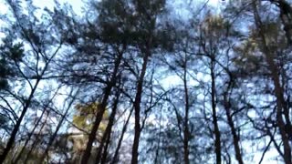 Clitlicker662 update 21 img 1257 cítím se tak divoce při blikání na veřejnosti 26 listopadu 2024