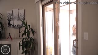 heavily tattooed italian goth takes bbc gangbang airtight with anal to mouth and cumshots